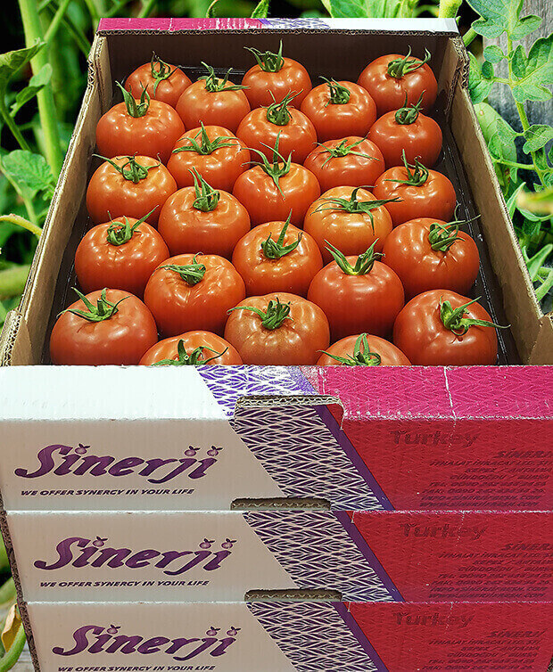 Vegetable Group