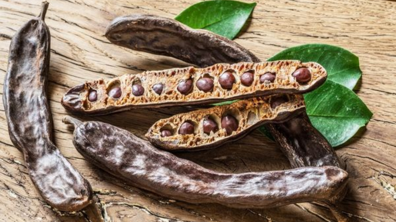 Carob Extract