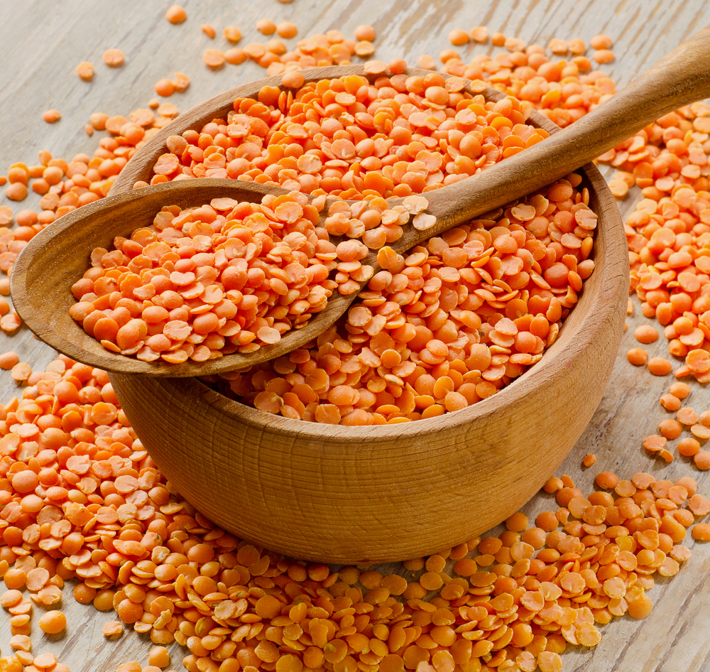Lentil