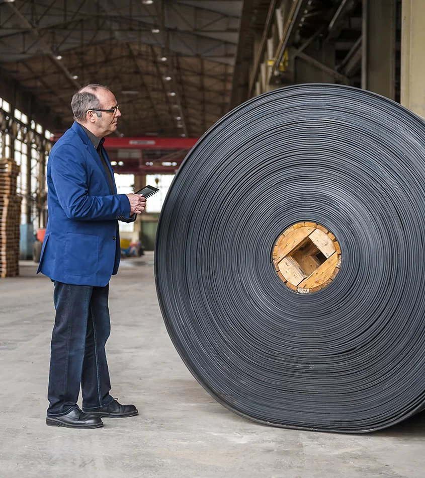 Rubber Antioxidants