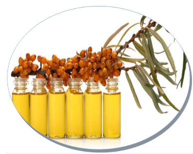 Phytobiotic Medicinal Herbs and Crude Herbal Products