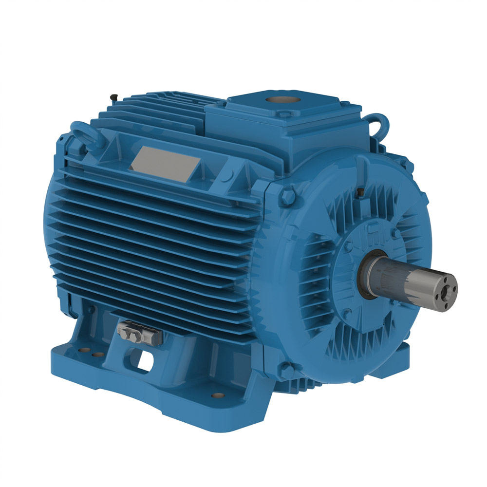 W22 Three-Phase Motors