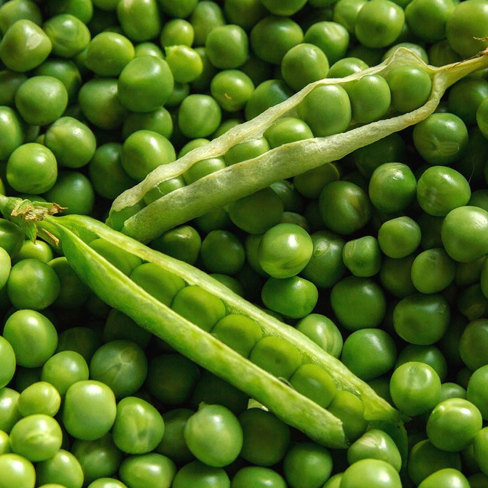 Legumes