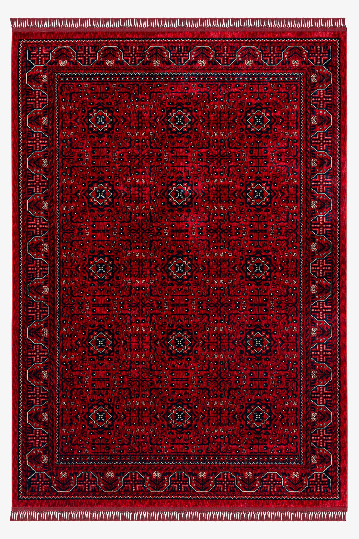 Afghan