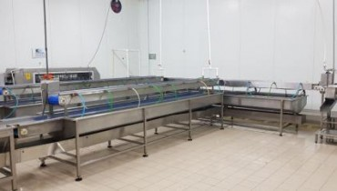 Fish Processing Machines and Equipment