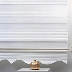 Zebra Blinds