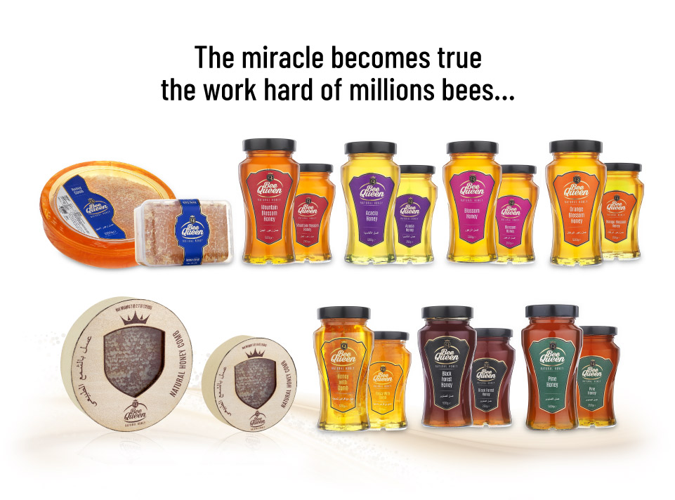 Our Brands