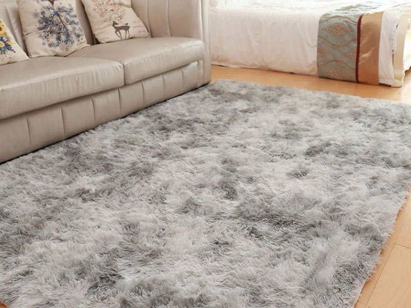 Carpet Models