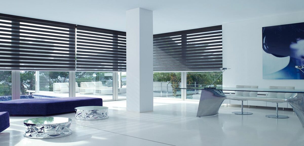 Zebra Blind