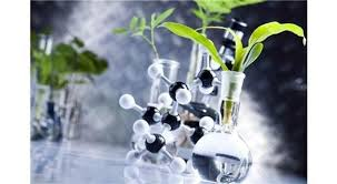Herbal Extracts