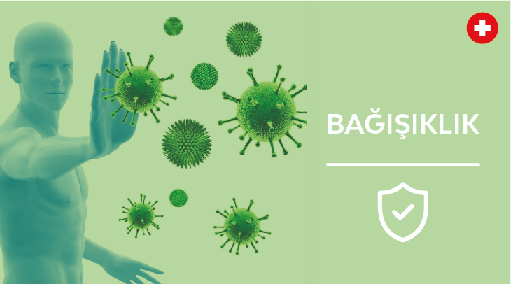 Immunity System