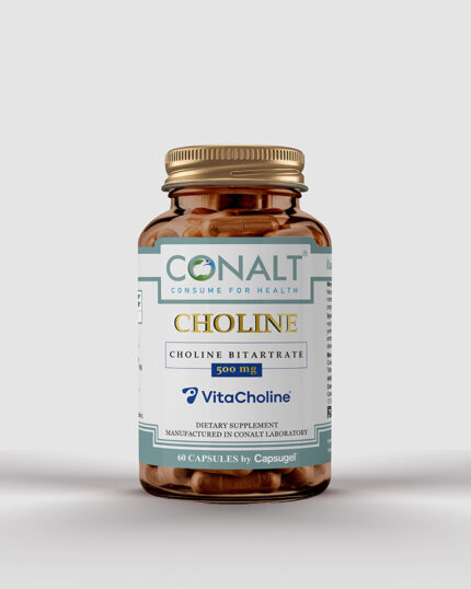 Digestion & Probiotic