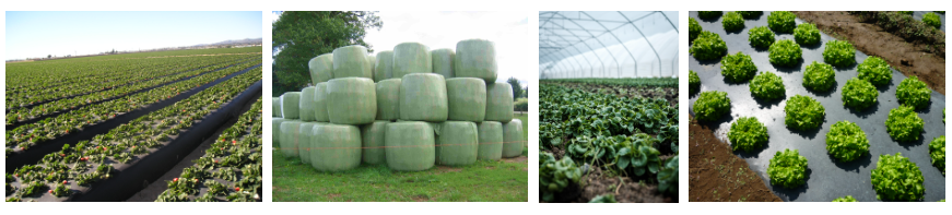 Agricultural Products