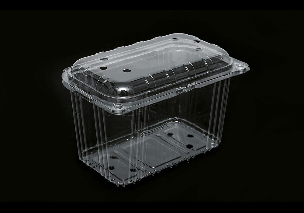 Plastic Containers with Lid