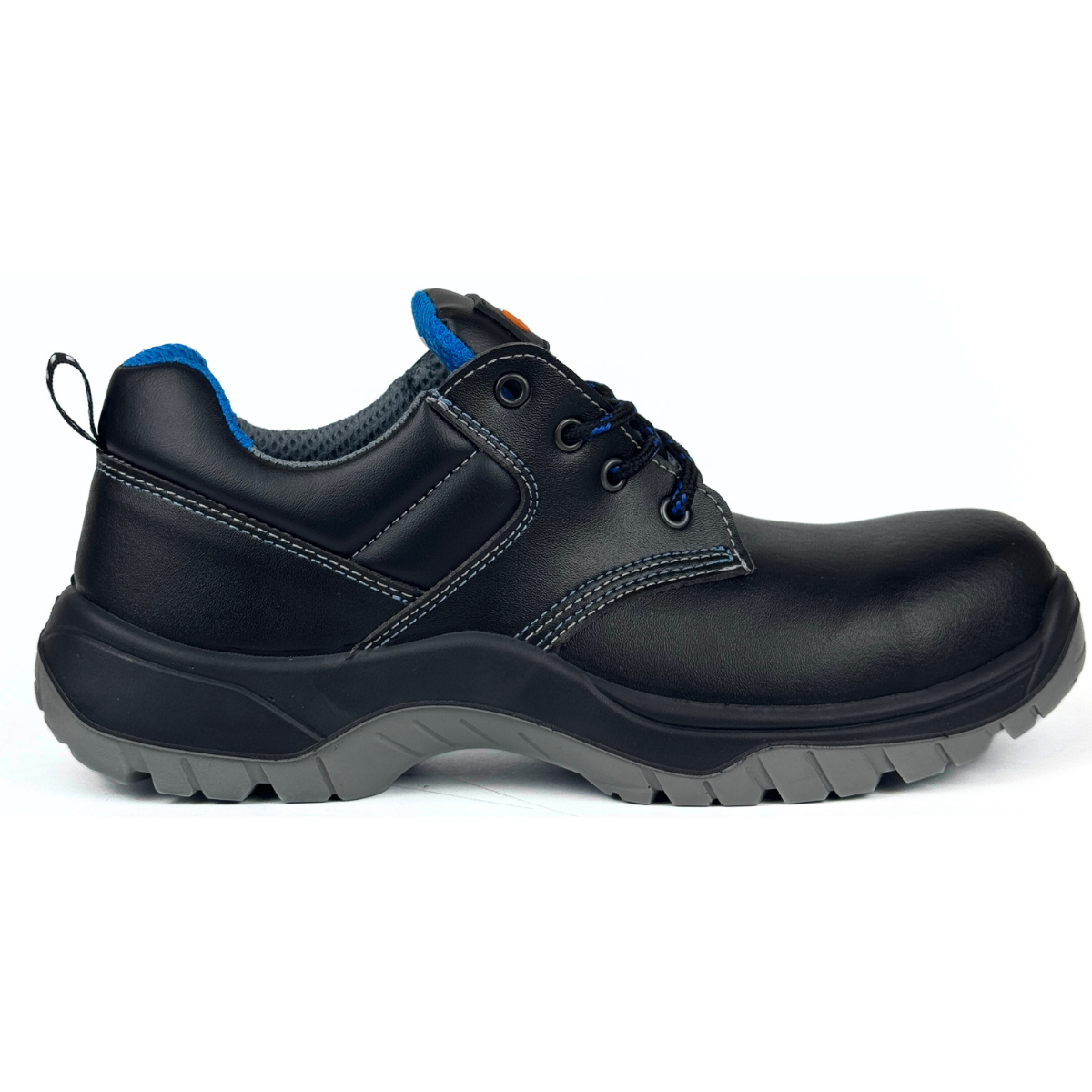 Rigel Dynamic