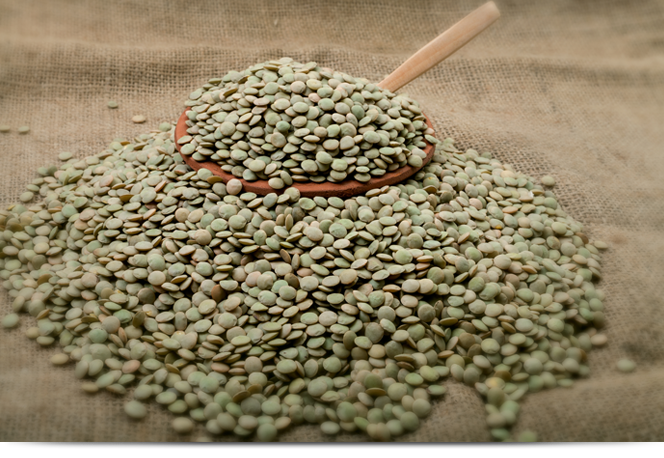 Green Lentils