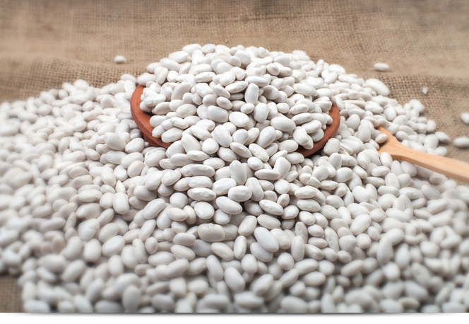White Beans