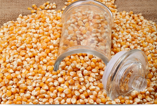 Corn