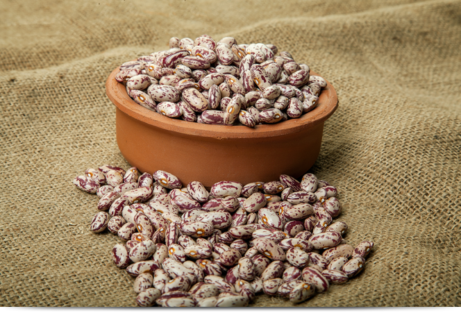 Barbunya Beans