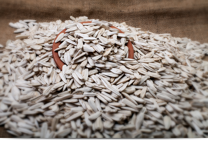 White Seeds