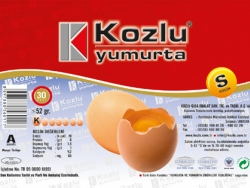 Egg Products