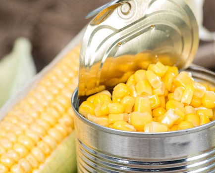Canned Food