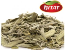 Aromatic Plants