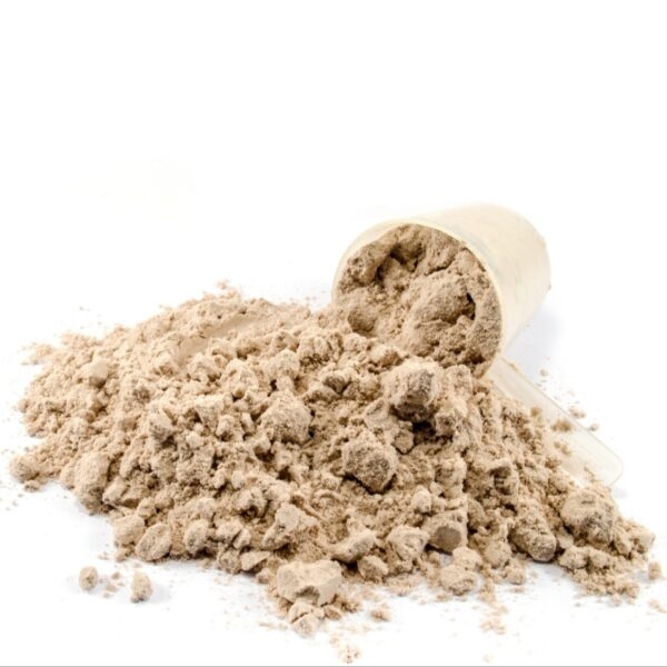 Demineralized Whey Powder