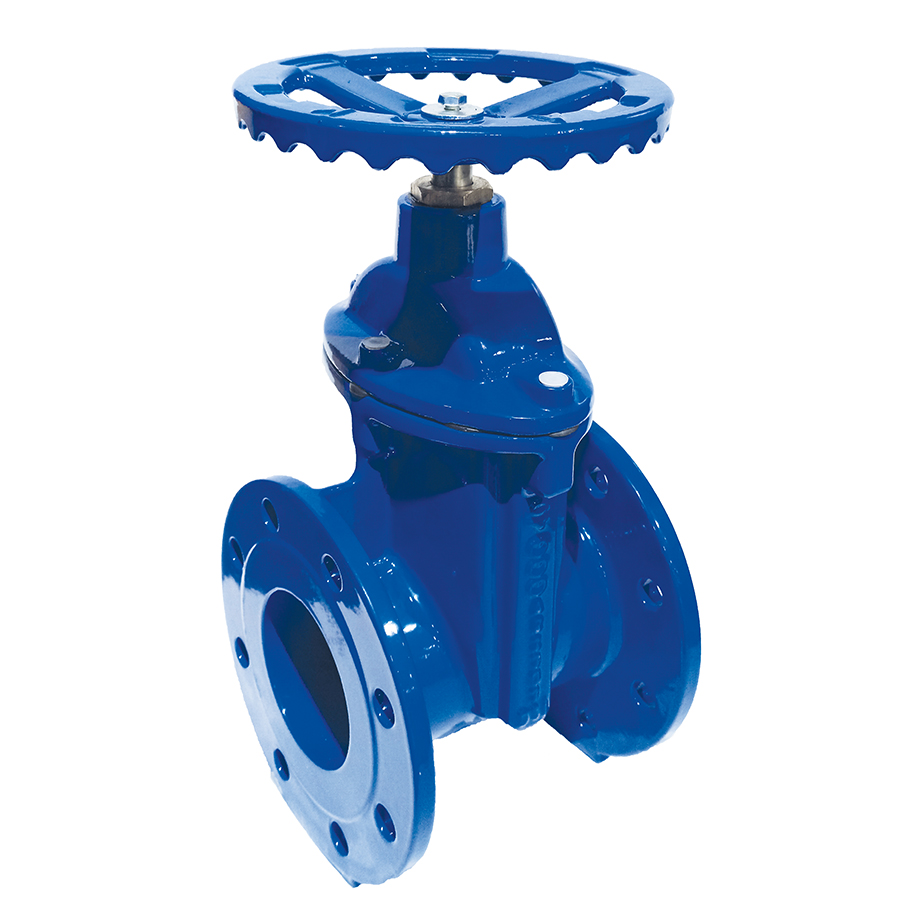 Elastomer F4 Gate Valve